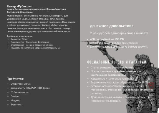 бпла 100.jpg